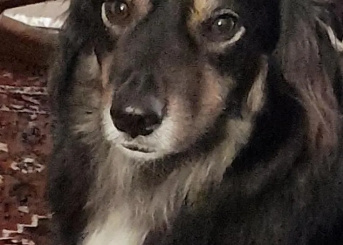 Couette-café Jacky's Place