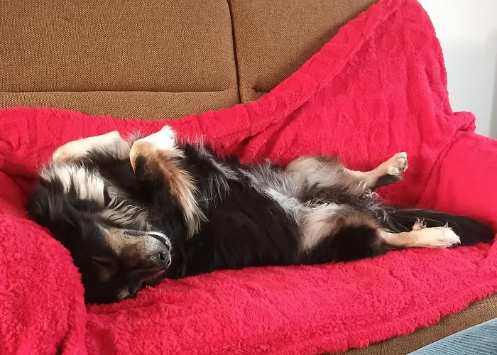 Jacky's Place Couette-café 3*